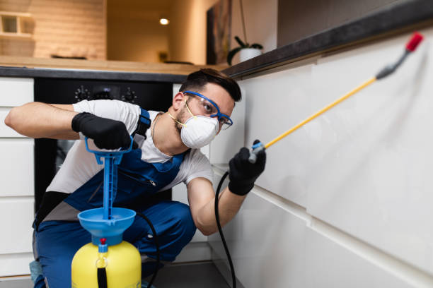 Best Pest Control Near Me in Lake Landor, VA