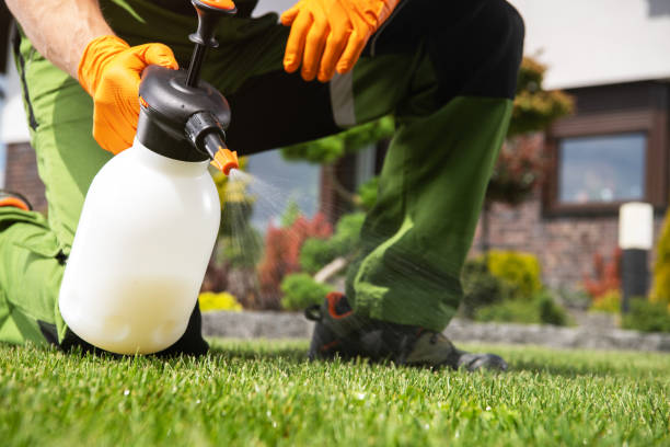 Best Best Pest Control Companies  in Lake Landor, VA