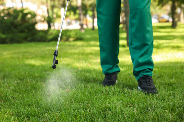 Best Pest Control Near Me  in Lake Landor, VA
