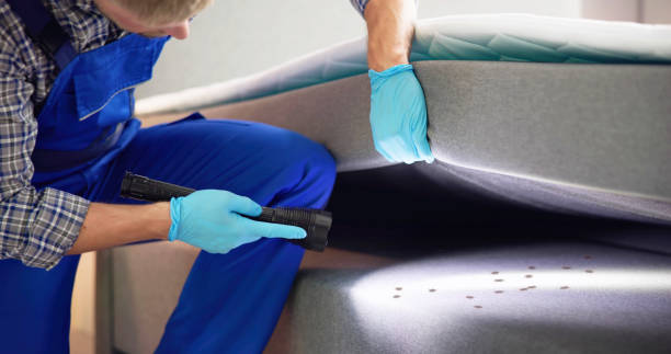 Pest Prevention Services in Lake Landor, VA