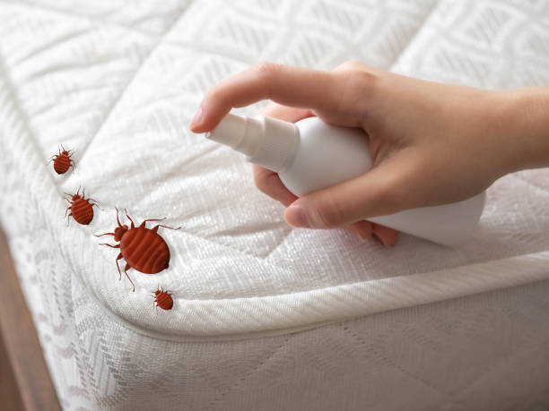 Best Affordable Pest Control Services  in Lake Landor, VA