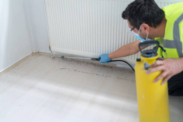 Reliable Lake Landor, VA Pest Control Solutions